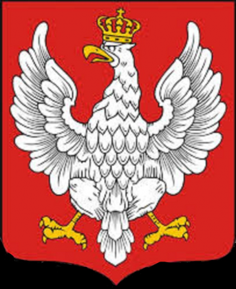 Reprezentant bjalego orla
