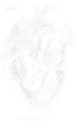 Koszulka damska - Heart