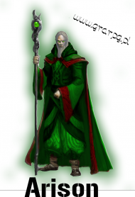 Arison