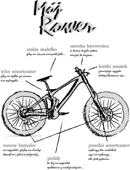 DH01B - koszulka rowerowa damska