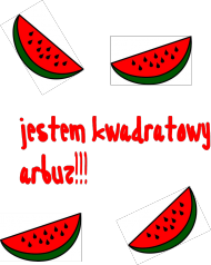 Koszulecznka 