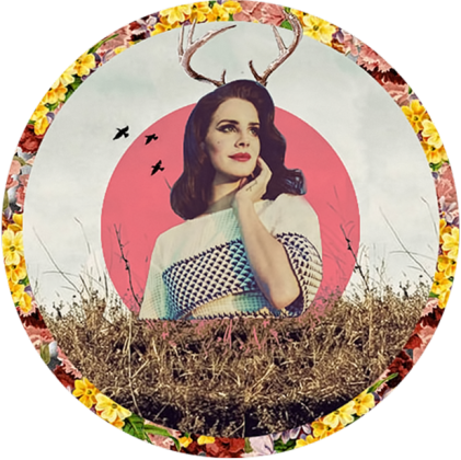 lana del deer bluza