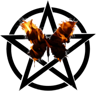Koszulka PENTAGRAM motylek - tanio!