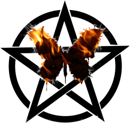 Koszulka PENTAGRAM motylek - tanio!