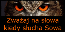 Koszulka Zważaj na słowa Sowa - Afera!