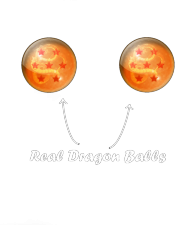Real Dragon Balls