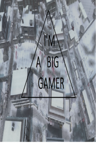 I'm a big gamer.