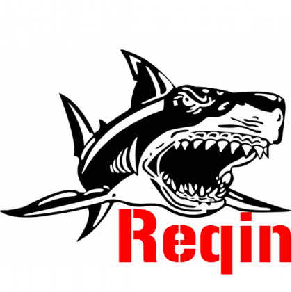 Reqin T-Shirt (KIDS GIRL)