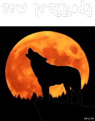 wilk nocą - seria zwierzęta