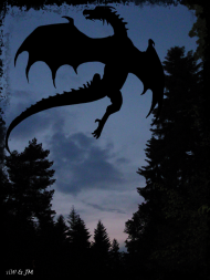 smok nocą - seria zwierzęta fantasy
