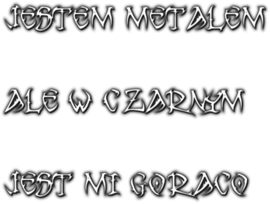Koszulka Jestem metalem...