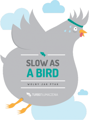Slow as a bird (wolny jak ptak) - damska koszulka