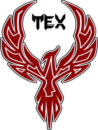 TEX bluza BSNT
