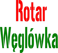 Bluza Rotar męska