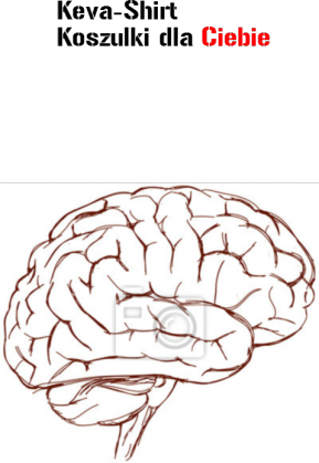 Koszulka męska- "Mózg"