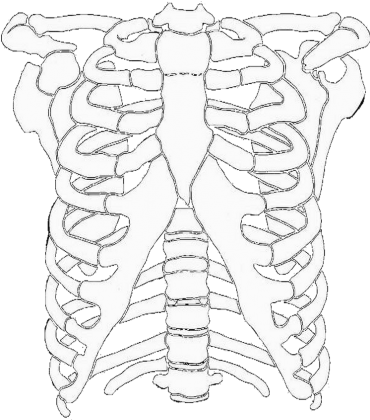 KOSZULKA "KOŚCI" - TSHIRT CHEST BONES