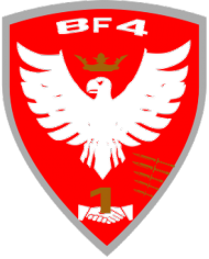 elta polska