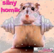 Koszulka z chomikiem