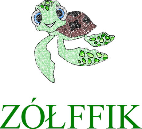 Koszulka z żółwiem