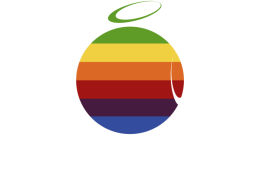 Bluza męska z kapturem - THROW FRISBEE