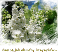 Bzy są jak chmury...