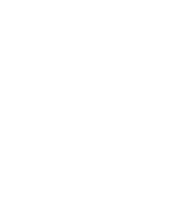 Breaking Bad fly black
