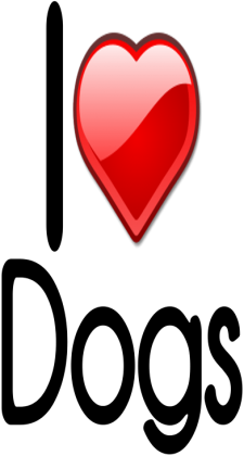 Koszulka "I love dogs" damska