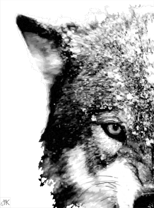 WOLF BLUZA BW