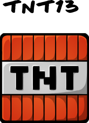 koszulka dla dziewczun tnt13