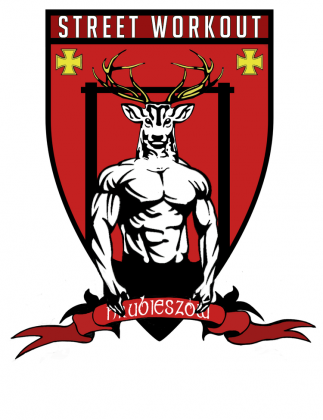 Street Workout - Hrubieszow (KOSZULKA) - kolorowa