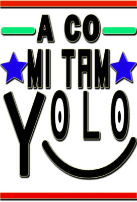 Yolo 2 - nadruk
