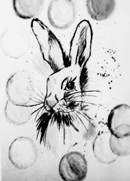 Rabbit Black & White