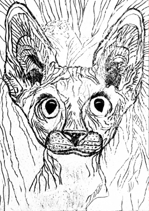 Sfinks Black & White