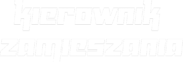 Bluza 'Kierownik zamieszania'