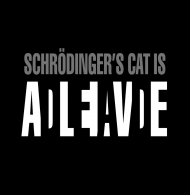 Koszulka Schrodinger's Cat