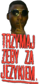 Bluza TZZj