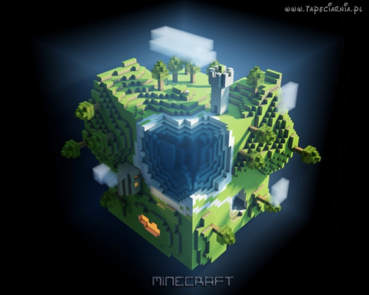 Bluża "Świat Minecraft"