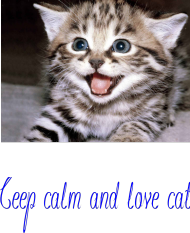 Ceep calm and love Cat