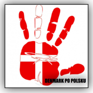 T-Shirt Dziewczęcy Denmark po polsku