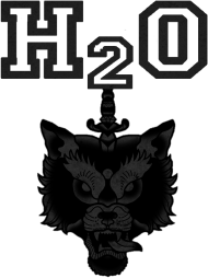 H2O