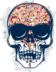 Skull Brain
