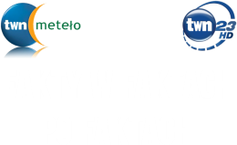 KOSZULKA TWN23: ARLETTA WARNER-BROS