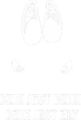 Dzik jest dziki