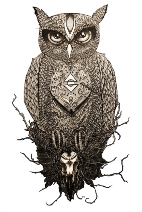 Owl