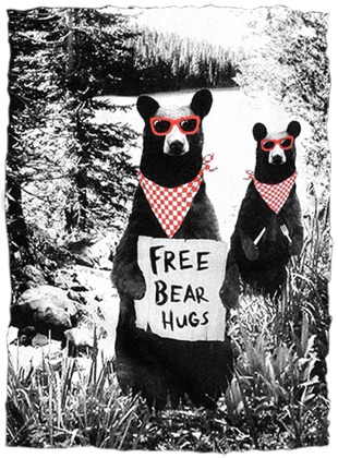 Free Bear Hugs
