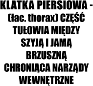 Klatka piersiowa
