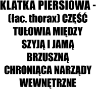 Klatka piersiowa