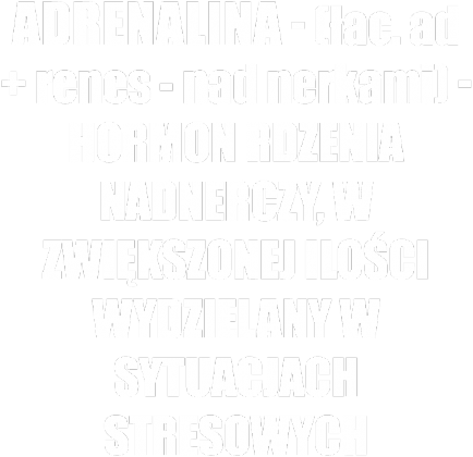 Adrenalina