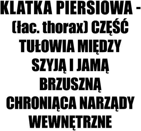 Klatka piersiowa