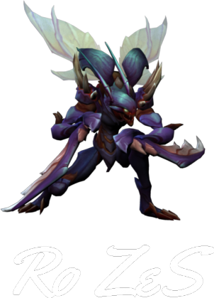 Koszulka Kha Zix RoZeS